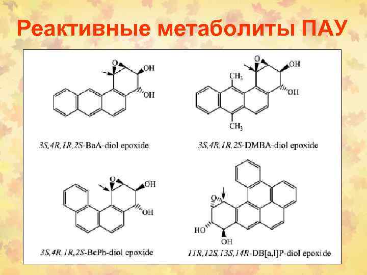 Реактивные метаболиты ПАУ 