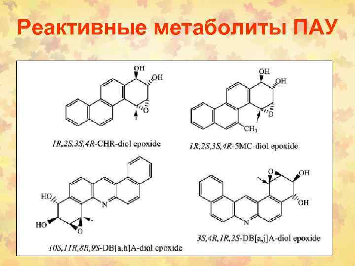 Реактивные метаболиты ПАУ 