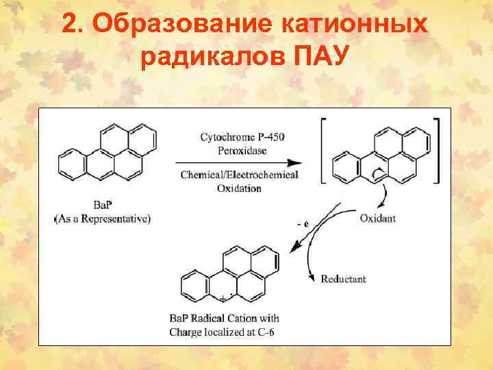 2. Образование катионных радикалов ПАУ 