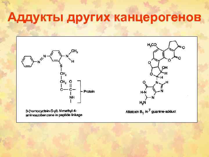Аддукты других канцерогенов 