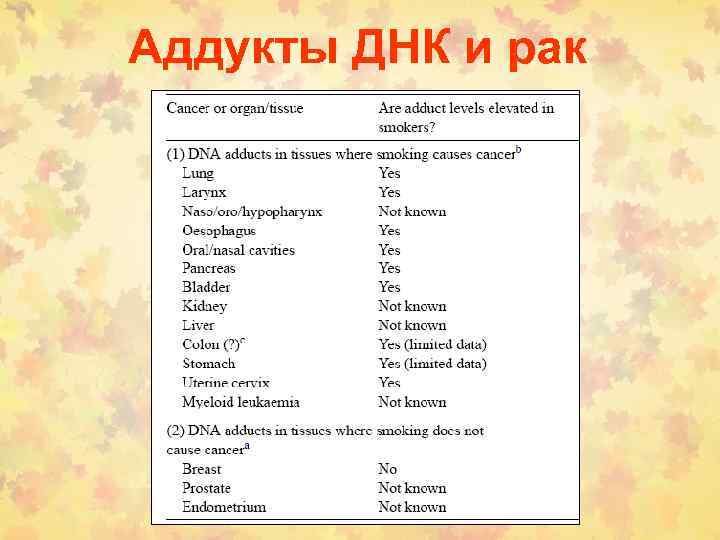 Аддукты ДНК и рак 