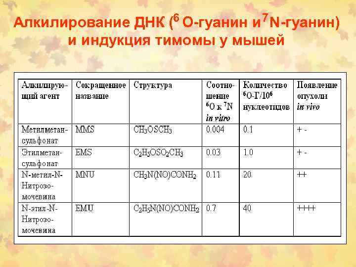 Алкилирование ДНК (6 О-гуанин и 7 N-гуанин) и индукция тимомы у мышей 