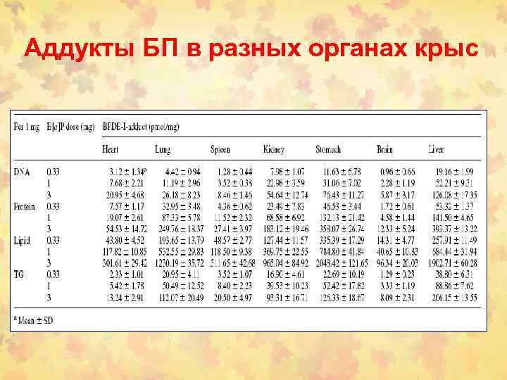 Аддукты БП в разных органах крыс 