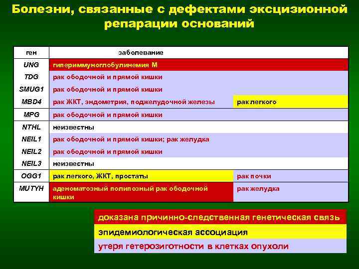 Болезни, связанные с дефектами эксцизионной репарации оснований ген заболевание UNG гипериммуноглобулинемия M TDG рак