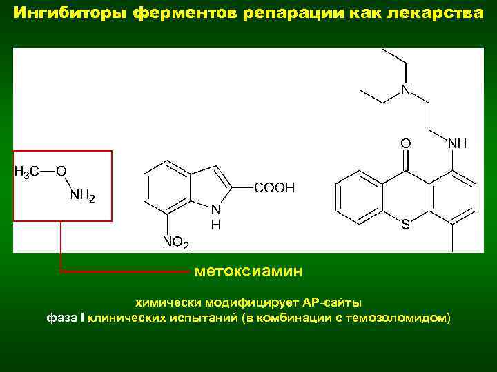 Ингибиторы ферментов репарации как лекарства метоксиамин химически модифицирует AP-сайты фаза I клинических испытаний (в