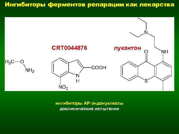 Ингибиторы ферментов репарации как лекарства CRT 0044876 лукантон ингибиторы AP-эндонуклеазы доклинические испытания 