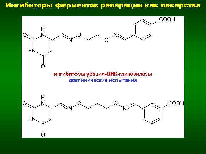 Ингибиторы ферментов репарации как лекарства ингибиторы урацил-ДНК-гликозилазы доклинические испытания 