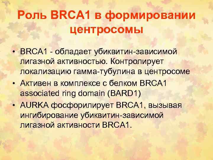 Роль BRCА 1 в формировании центросомы • BRCA 1 - обладает убиквитин-зависимой лигазной активностью.