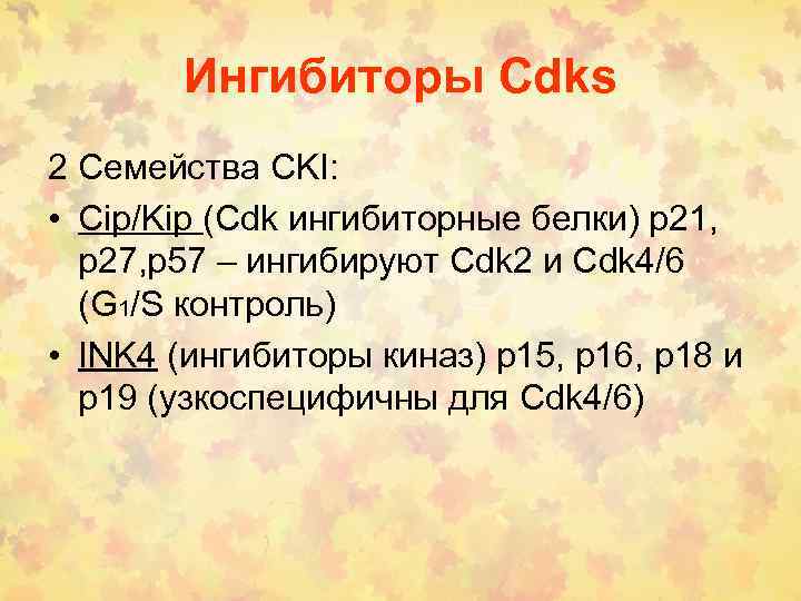 Ингибиторы Cdks 2 Семейства CKI: • Cip/Kip (Cdk ингибиторные белки) р21, р27, р57 –