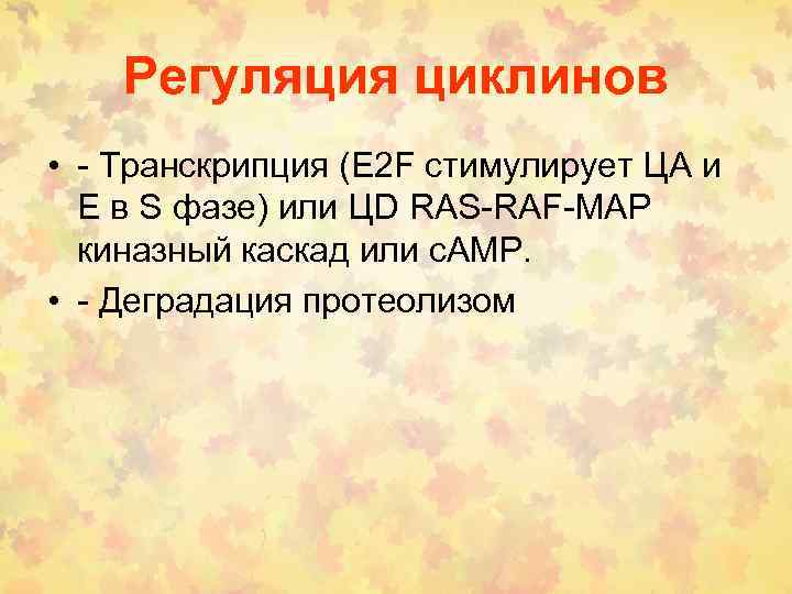Регуляция циклинов • - Транскрипция (E 2 F стимулирует ЦА и Е в S