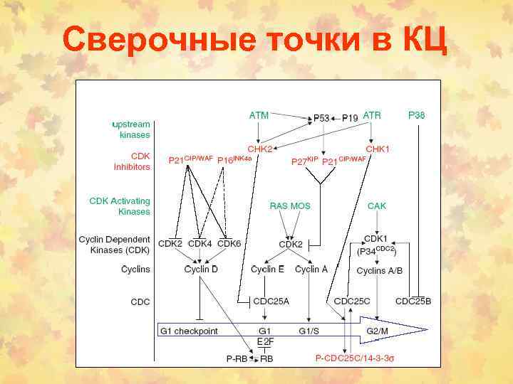 Сверочные точки в КЦ 