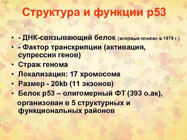 Структура и функции р53 • - ДНК-связывающий белок (впервые описан в 1979 г. )