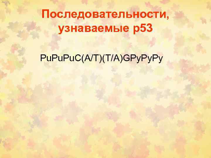 Последовательности, узнаваемые р53 Pu. Pu. C(A/T)(T/A)GPy. Py 