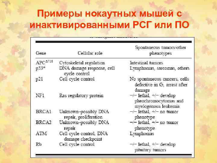 Примеры нокаутных мышей с инактивированными РСГ или ПО 