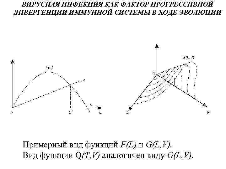 ВИРУСНАЯ ИНФЕКЦИЯ КАК ФАКТОР ПРОГРЕССИВНОЙ ДИВЕРГЕНЦИИ ИММУННОЙ СИСТЕМЫ В ХОДЕ ЭВОЛЮЦИИ Примерный вид функций