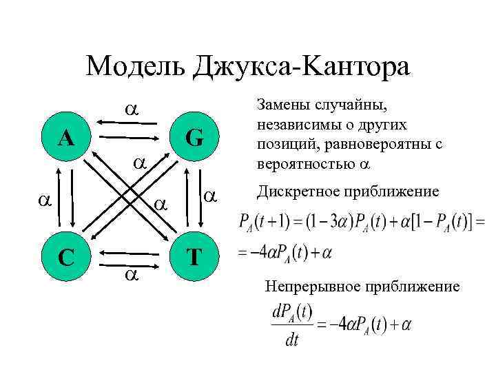 Модель Джукса-Kантора A G C Замены случайны, независимы о других позиций, равновероятны с вероятностью