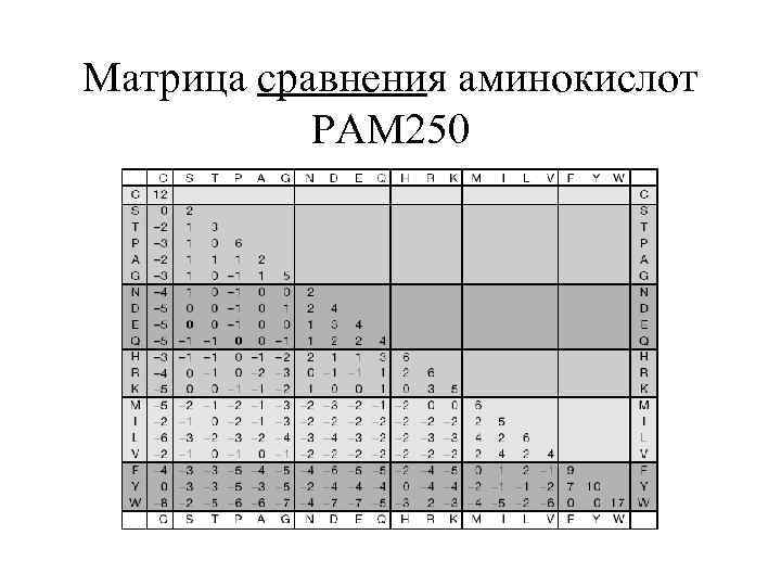 Матрица сравнения аминокислот PAM 250 
