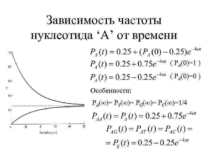 Зависимость частоты нуклеотида ‘A’ от времени ( PA(0)=1 ) ( PA(0)=0 ) Особенности: PA(