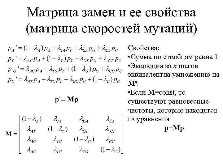 Матрица замен и ее свойства (матрица скоростей мутаций) Свойства: • Сумма по столбцам равна