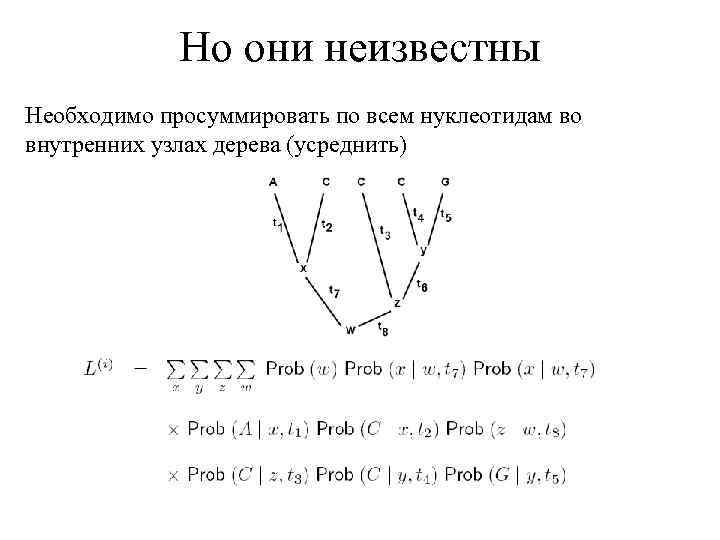 Но они неизвестны Необходимо просуммировать по всем нуклеотидам во внутренних узлах дерева (усреднить) 