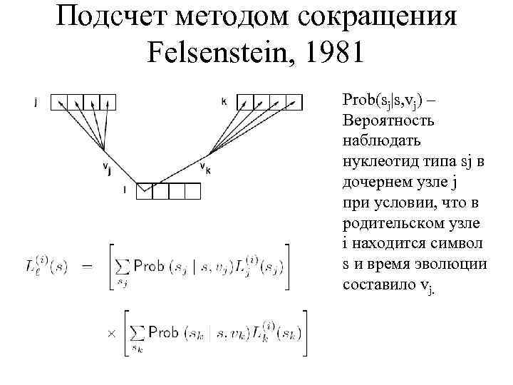 Подсчет методом сокращения Felsenstein, 1981 Prob(sj|s, vj) – Вероятность наблюдать нуклеотид типа sj в