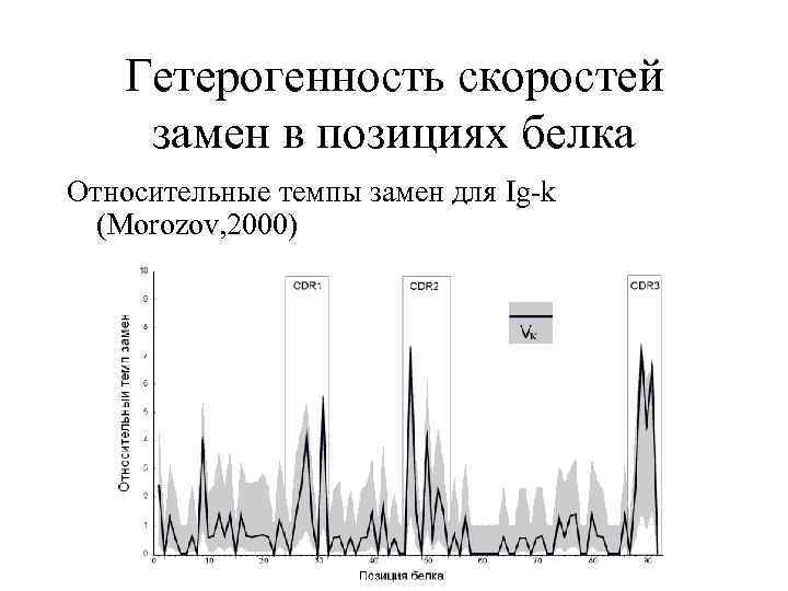 Гетерогенность скоростей замен в позициях белка Относительные темпы замен для Ig-k (Morozov, 2000) 