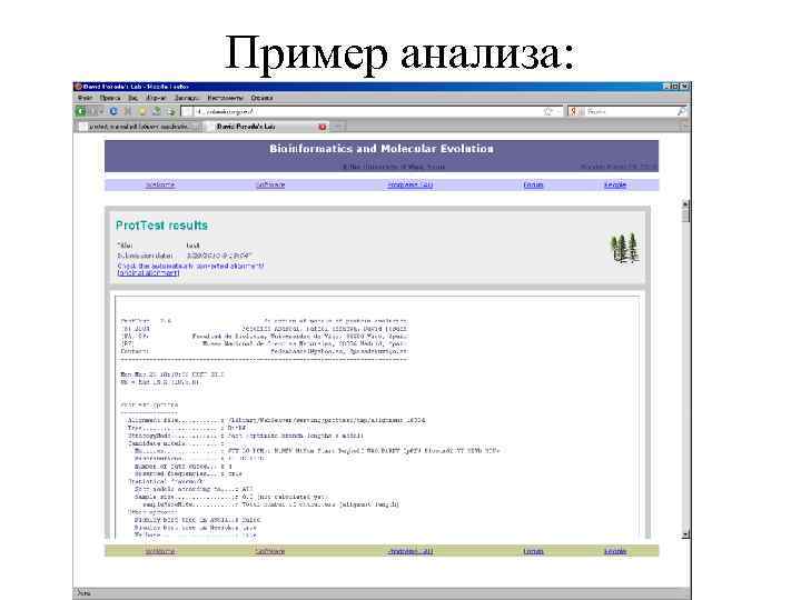 Пример анализа: 