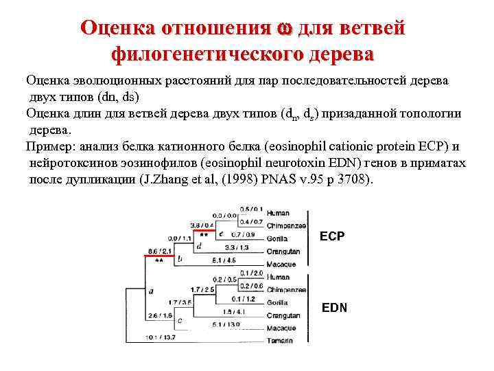 Оценка отношений