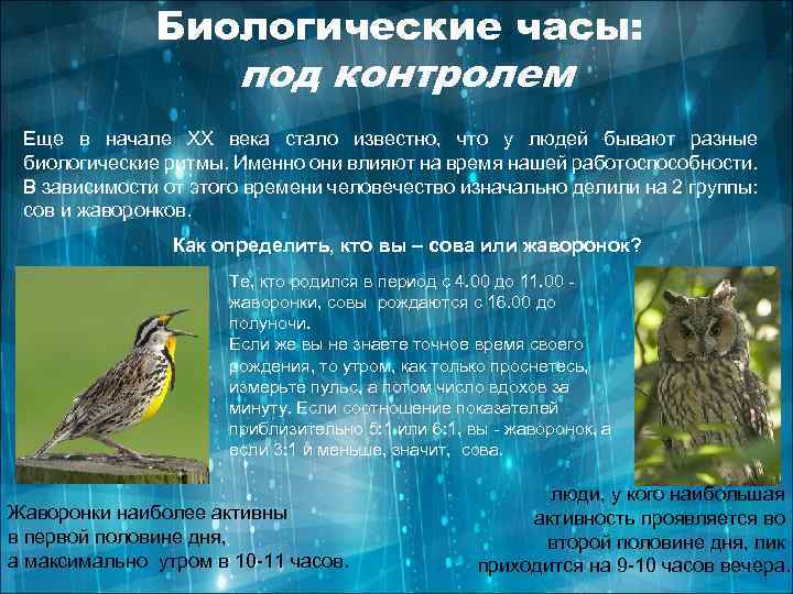 Биологические часы: под контролем Еще в начале XX века стало известно, что у людей