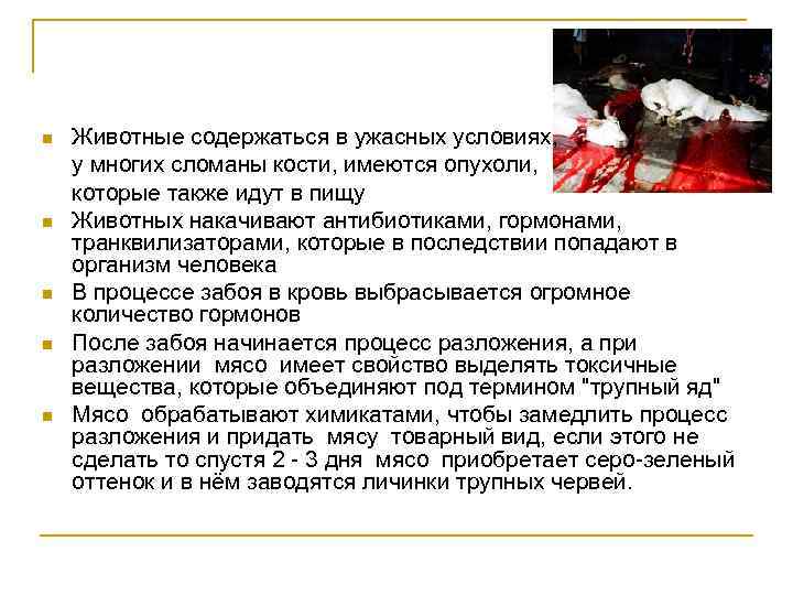 n n n Животные содержаться в ужасных условиях, у многих сломаны кости, имеются опухоли,