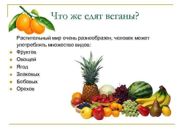 Что же едят веганы? n n n Растительный мир очень разнообразен, человек может употреблять