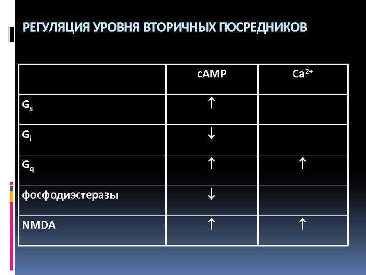 РЕГУЛЯЦИЯ УРОВНЯ ВТОРИЧНЫХ ПОСРЕДНИКОВ c. AMP Gs Gi Gq фосфодиэстеразы NMDA Ca 2+ 