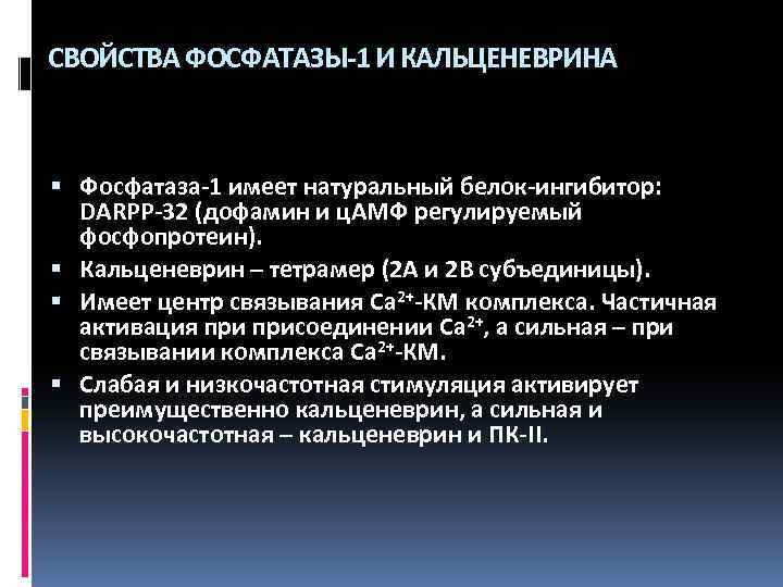 СВОЙСТВА ФОСФАТАЗЫ-1 И КАЛЬЦЕНЕВРИНА Фосфатаза-1 имеет натуральный белок-ингибитор: DARPP-32 (дофамин и ц. АМФ регулируемый