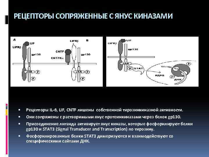 Пропали рецепторы