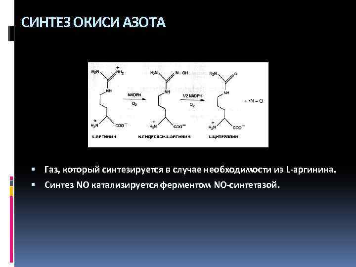 СИНТЕЗ ОКИСИ АЗОТА Газ, который синтезируется в случае необходимости из L-аргинина. Синтез NO катализируется