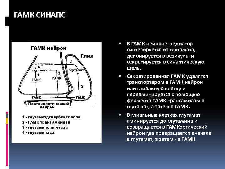 Гамк что это