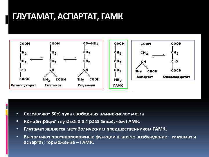 Аминокислоты для мозгов. Аспартат аминокислота. Аспартат и глутамат. Глутамат и аспартат аминокислоты. Глутамат в ГАМК.