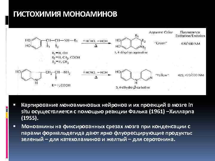 ГИСТОХИМИЯ МОНОАМИНОВ Картирование моноаминовых нейронов и их проекций в мозге in situ осуществляется с