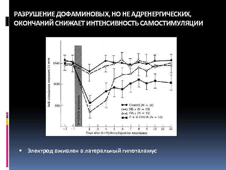РАЗРУШЕНИЕ ДОФАМИНОВЫХ, НО НЕ АДРЕНЕРГИЧЕСКИХ, ОКОНЧАНИЙ СНИЖАЕТ ИНТЕНСИВНОСТЬ САМОСТИМУЛЯЦИИ Электрод вживлен в латеральный гипоталамус