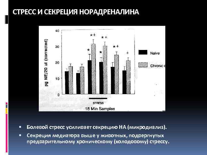 Секреция Норадреналина