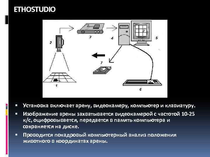 ETHOSTUDIO Установка включает арену, видеокамеру, компьютер и клавиатуру. Изображение арены захватывается видеокамерой с частотой