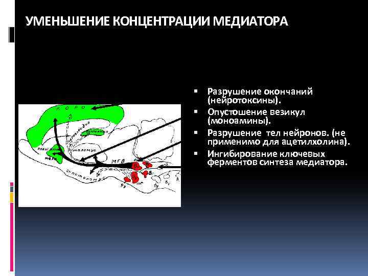 УМЕНЬШЕНИЕ КОНЦЕНТРАЦИИ МЕДИАТОРА Разрушение окончаний (нейротоксины). Опустошение везикул (моноамины). Разрушение тел нейронов. (не применимо