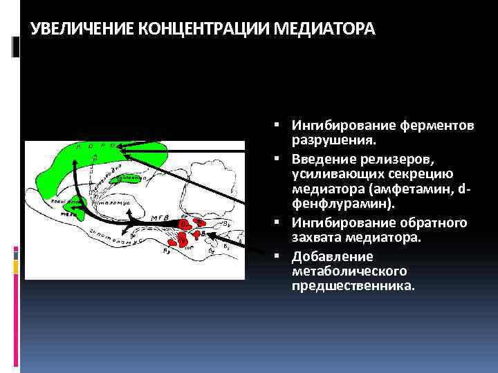 УВЕЛИЧЕНИЕ КОНЦЕНТРАЦИИ МЕДИАТОРА Ингибирование ферментов разрушения. Введение релизеров, усиливающих секрецию медиатора (амфетамин, dфенфлурамин). Ингибирование