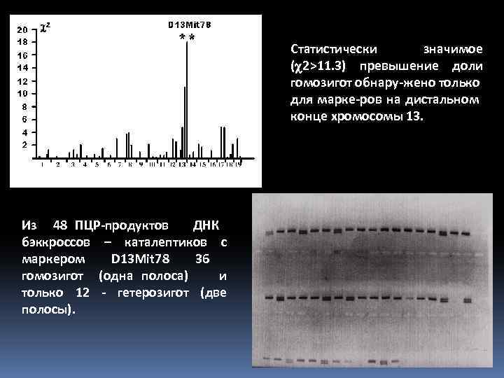 Статистически значимое ( 2>11. 3) превышение доли гомозигот обнару-жено только для марке-ров на дистальном