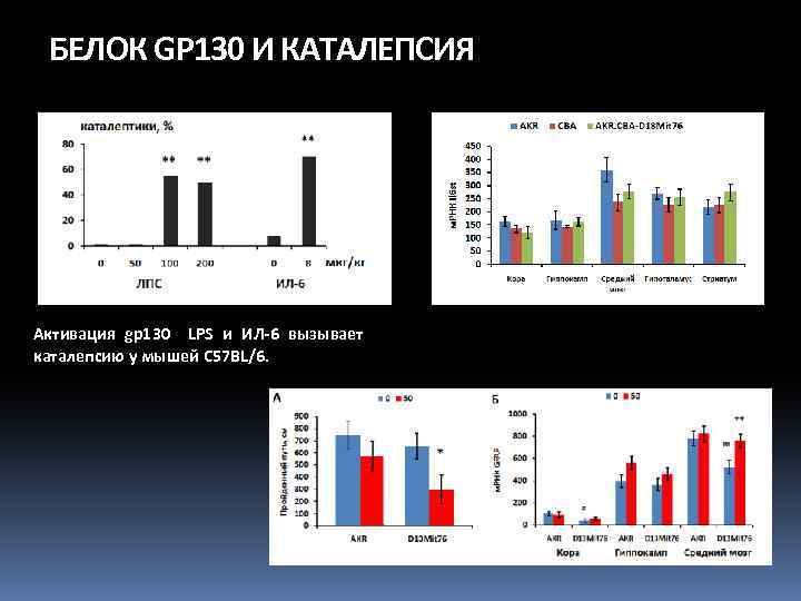 БЕЛОК GP 130 И КАТАЛЕПСИЯ Активация gp 130 LPS и ИЛ-6 вызывает каталепсию у