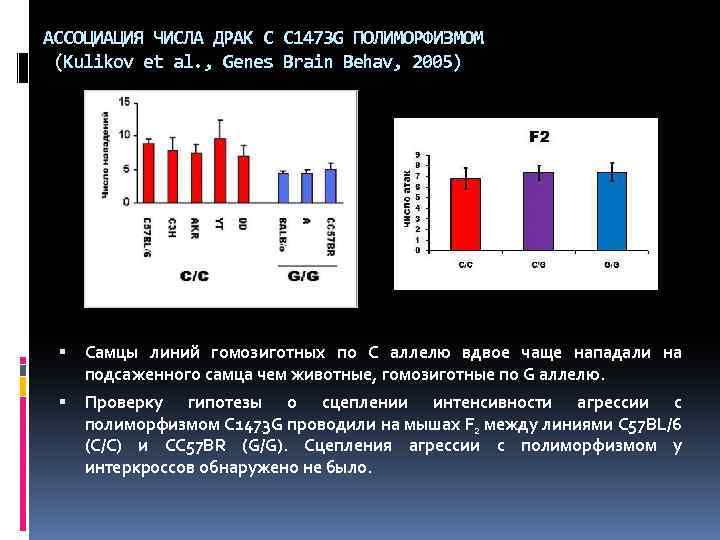 АССОЦИАЦИЯ ЧИСЛА ДРАК С C 1473 G ПОЛИМОРФИЗМОМ (Kulikov et al. , Genes Brain