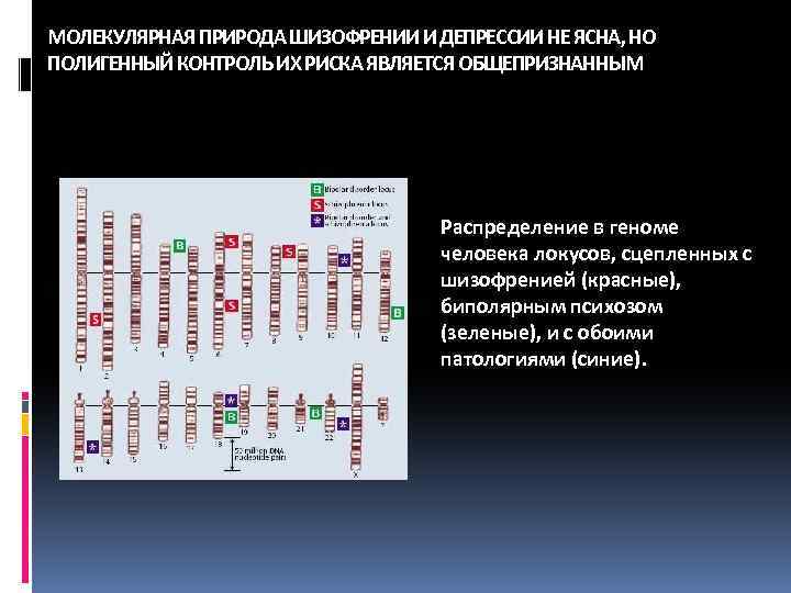 МОЛЕКУЛЯРНАЯ ПРИРОДА ШИЗОФРЕНИИ И ДЕПРЕССИИ НЕ ЯСНА, НО ПОЛИГЕННЫЙ КОНТРОЛЬ ИХ РИСКА ЯВЛЯЕТСЯ ОБЩЕПРИЗНАННЫМ