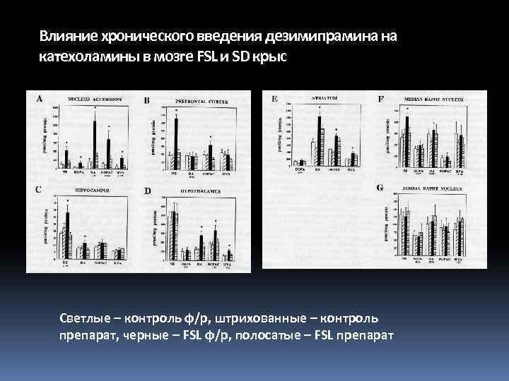 Влияние хронического введения дезимипрамина на катехоламины в мозге FSL и SD крыс Светлые –