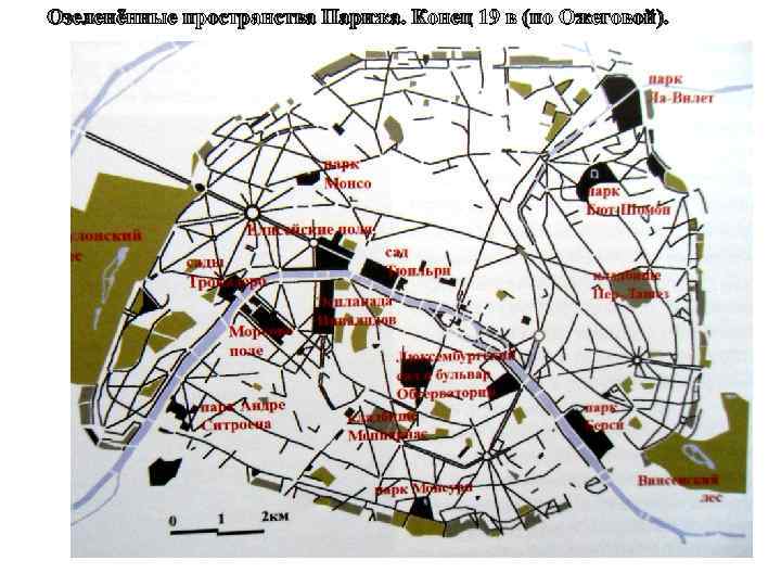 Озеленённые пространства Парижа. Конец 19 в (по Ожеговой). 
