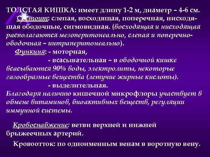 ТОЛСТАЯ КИШКА: имеет длину 1 -2 м, диаметр – 4 -6 см. Состоит: слепая,